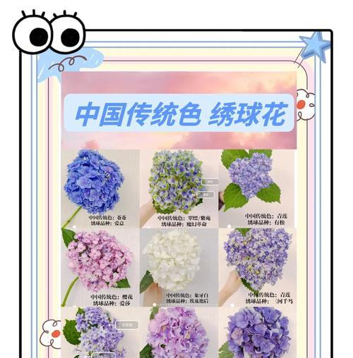 轮流绣球花语寓意是什么？
