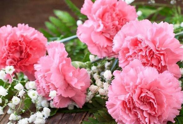 老婆生小孩时送什么花合适？花语有何特别含义？