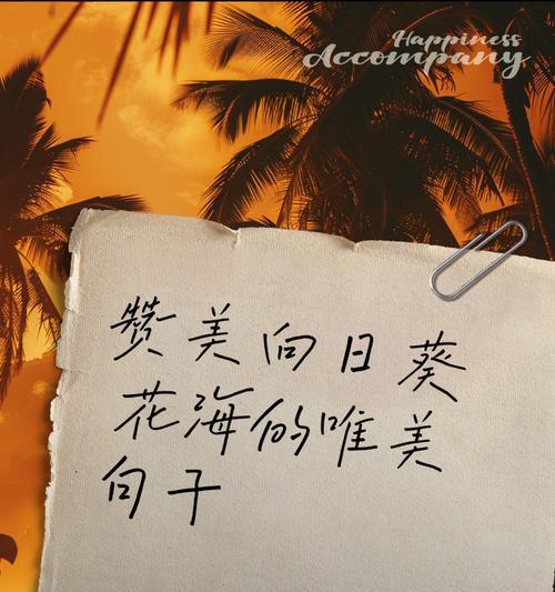 阳光大地玫瑰代表什么？它的花语含义是什么？