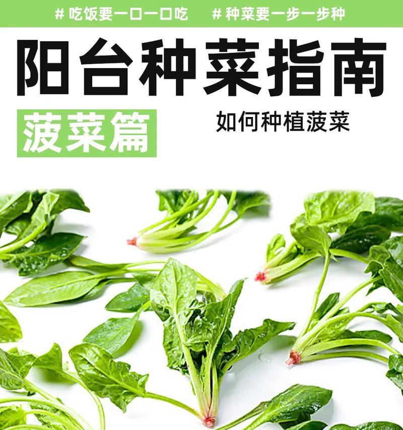 金虎仙人球到家怎么种？金虎仙人球的正确种植方法是什么？