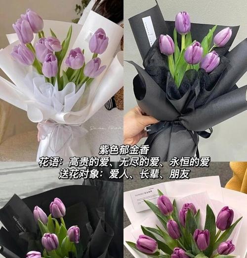 九朵郁金香的花语有何特别含义？