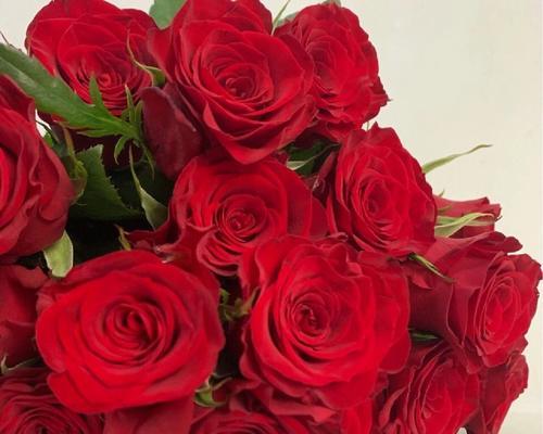 31朵玫瑰花有何特殊含义？送31朵玫瑰代表什么？