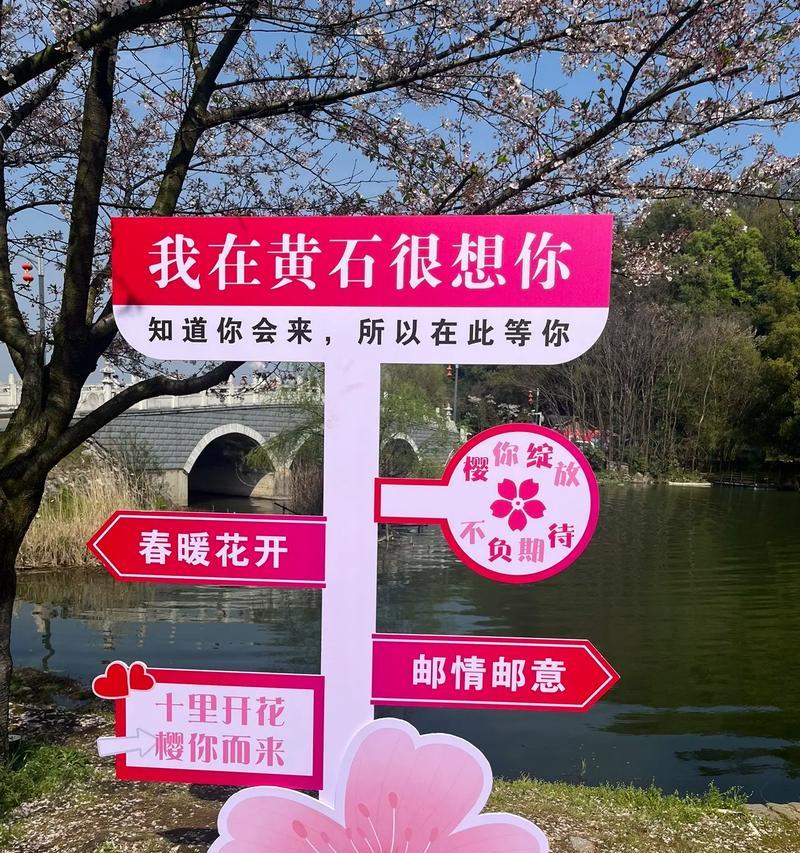 樱花的花语通常代表了什么？