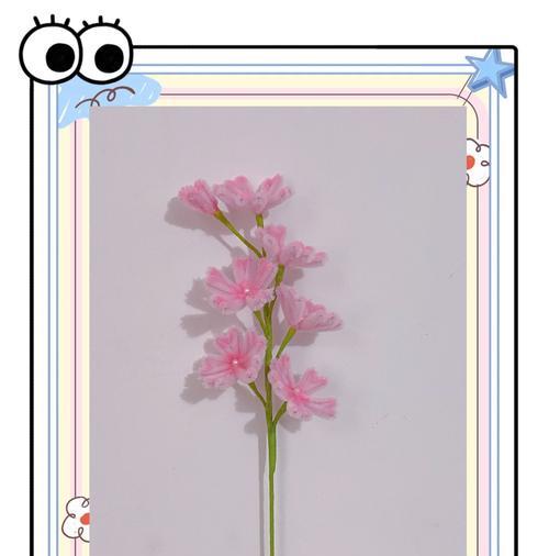 樱花的花语通常代表了什么？