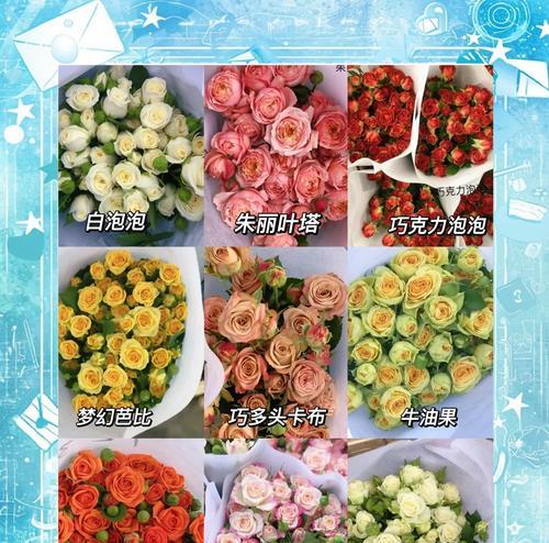 如何养活开爆炸的玫瑰花？
