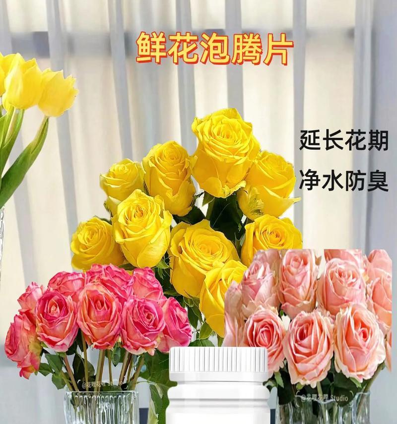 玫瑰花在瓶中如何养护以延长花期？