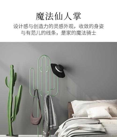 仙人掌北欧衣帽架种植技巧是什么？种植后如何管理？