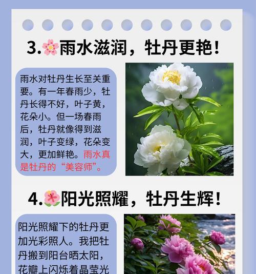 牡丹花移栽后如何存活？发芽后怎么养护？