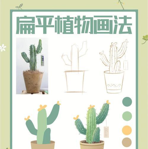 种一颗仙人掌的基本步骤是什么？需要注意哪些事项？