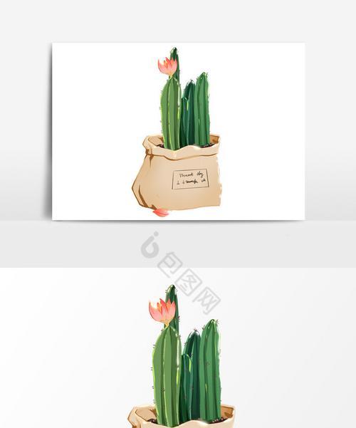 仙人掌玻璃子的种植步骤是什么？
