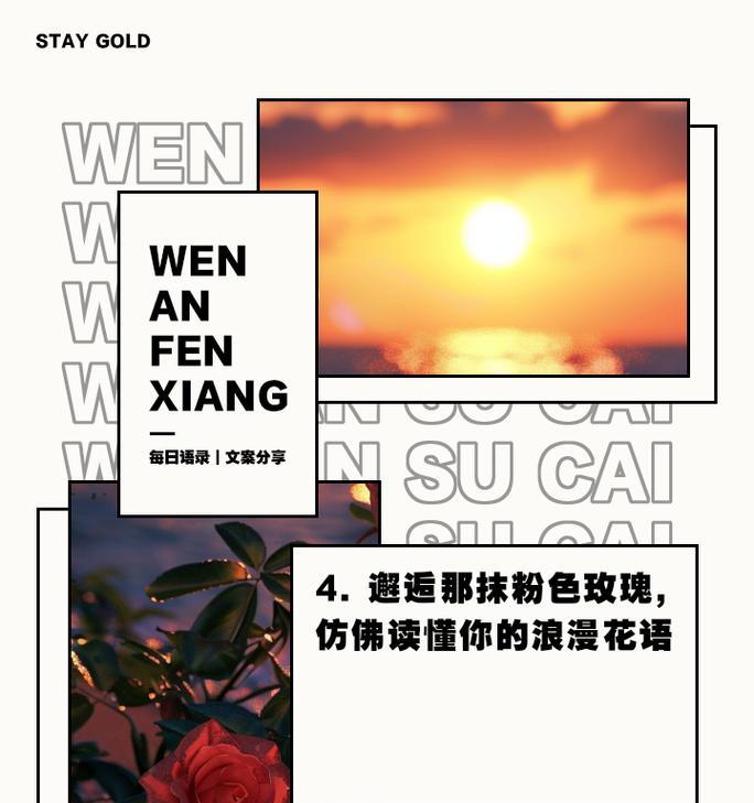 粉色玫瑰花的含义是什么？它们在花语中代表什么？