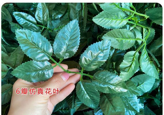 玫瑰花使用铁丝花杆子种植有什么好处？