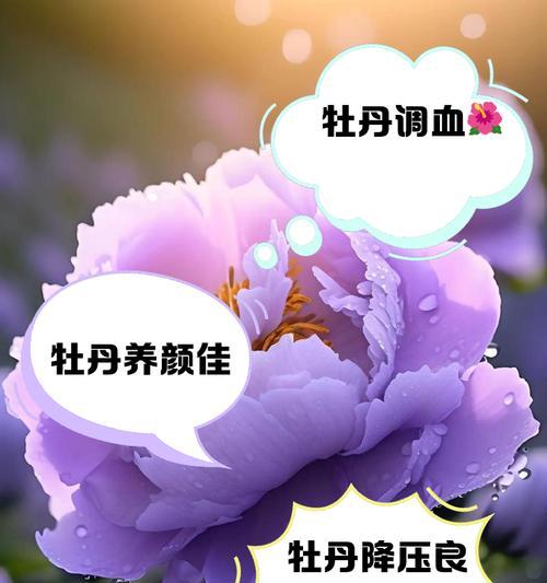 抽中的牡丹花养护需要注意哪些问题？