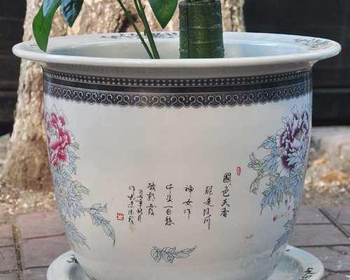 能养牡丹花的大花盆叫什么？如何选择合适的花盆？