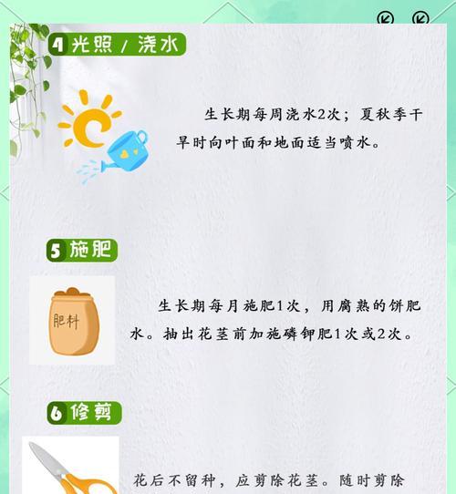 养了二十几年的君子兰如何继续养护？