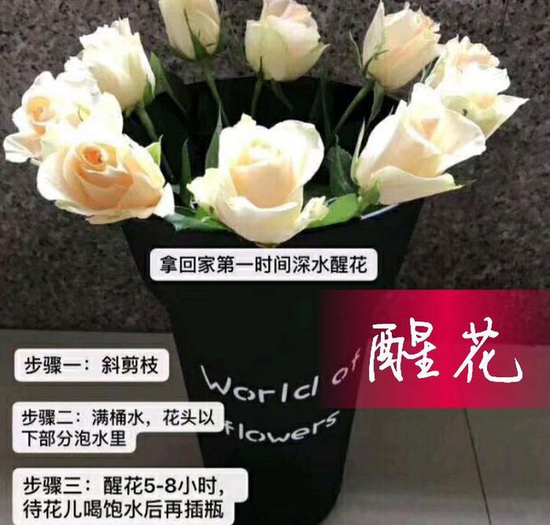 无防腐玫瑰花的正确养护方法是什么？