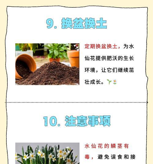仙人球服盆后养护要点？浇水频率是多少？