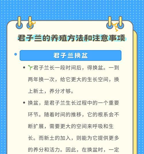 君子兰长叶子的修剪技巧是什么？
