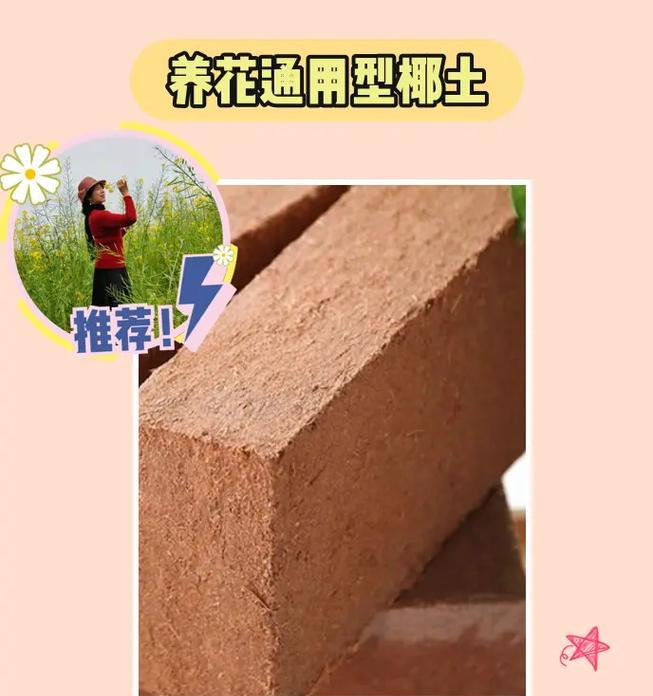 椰土养仙人掌烧根的解决方法是什么？