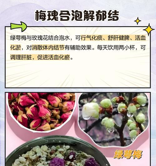 长条梅玫瑰花的养护要点是什么？
