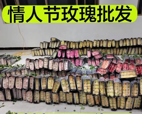 玫瑰花条子肥料的正确使用方法是什么？