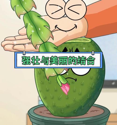仙人球丽花嫁接的最佳方法是什么？