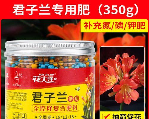 君子兰可以用普通土壤种植吗？普通土壤种植的注意事项是什么？