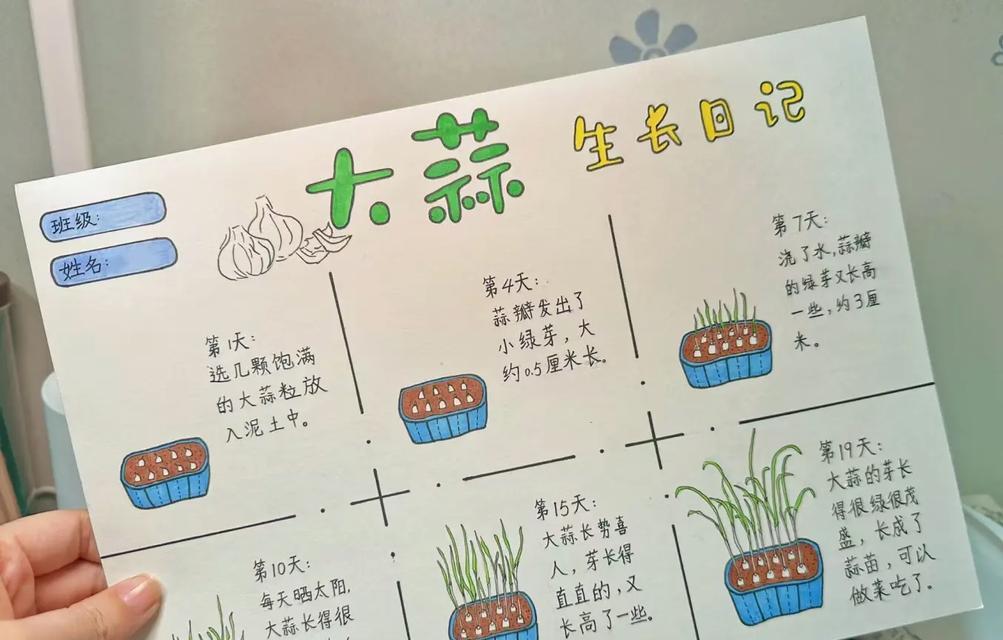软泥土中种植仙人掌的方法是什么？需要注意哪些要点？