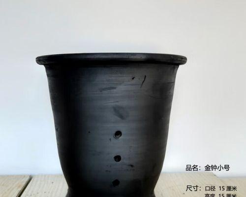 君子兰陶花盒的养护和保养技巧是什么？
