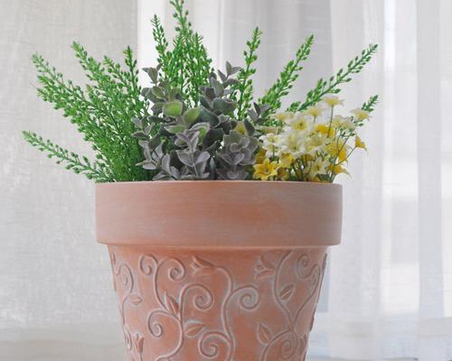 君子兰陶花盒的养护和保养技巧是什么？