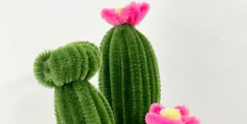 油蜡棒仙人掌的种植技巧是什么？
