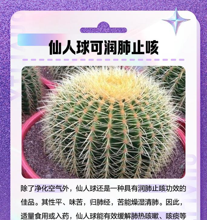 仙人球是否为仙草？养殖方法有哪些？