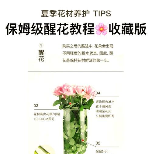 栽种大棚玫瑰花怎么养？有哪些关键步骤和注意事项？