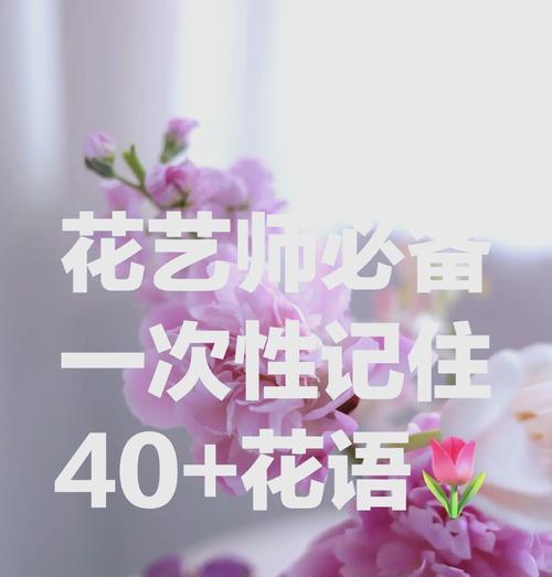 什么花语代表竞争力？它在商务场合中如何应用？