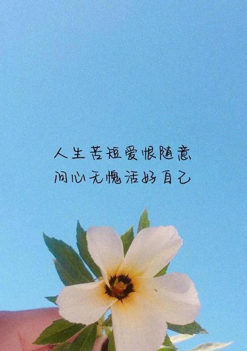 善待生命中的女人有何花语？表达怎样的情感？
