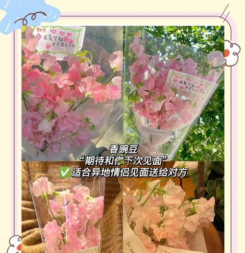 情人节送朋友花语有何讲究？