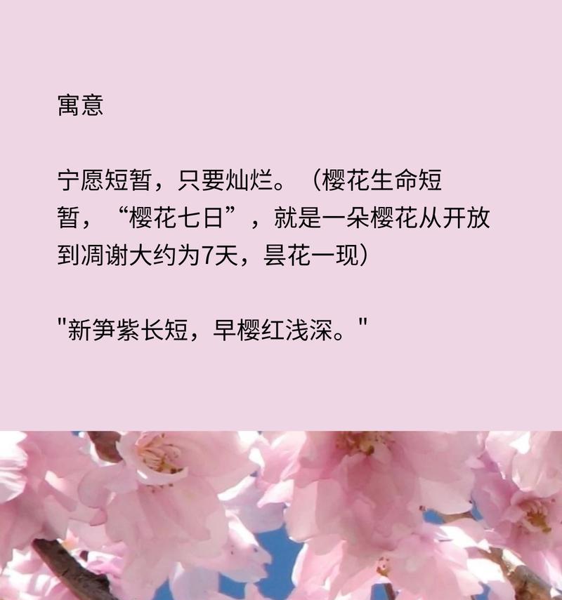 樱花花语代表什么含义？