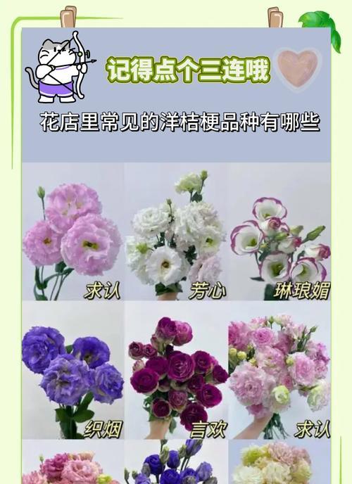 评论区的花语有哪些？大家都是如何表达情感的？