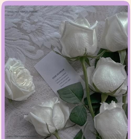 rose一词在花语中代表什么？