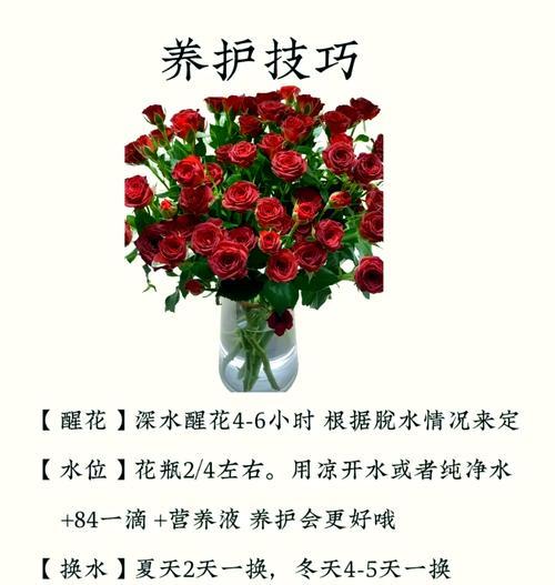 rose一词在花语中代表什么？