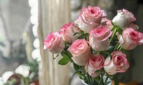红袖的花语有哪些含义？