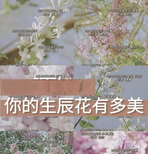 青春高雅的花语是什么？它如何体现年轻与优雅？