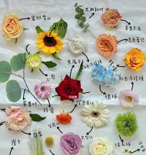 哪种花语与太宰治的作品风格相符？