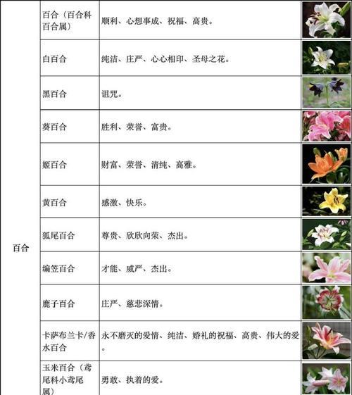 花语花香的含义是什么？