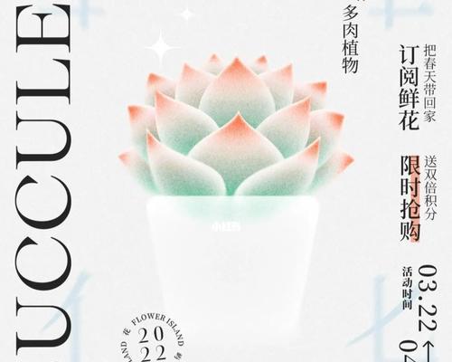 肉肉植物的花语代表了什么？