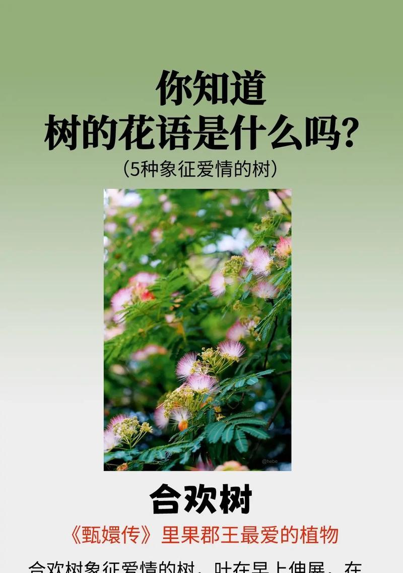 意思好的花语有哪些？如何挑选表达积极情感的花语？