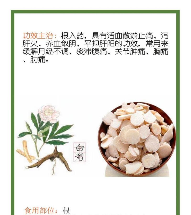 黄芍药的花语代表什么含义？