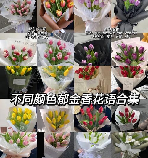 闺蜜送的花代表什么花语？它有何特别含义？