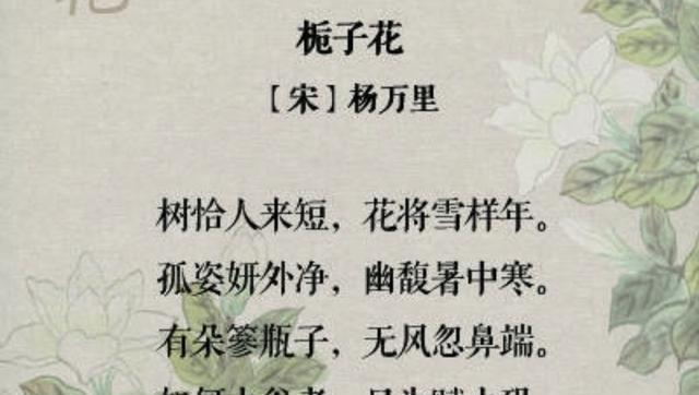 青春无悔，花语如何表达？