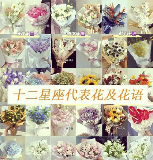 玩瑶妹时应该选择哪种花表达浪漫？它们的花语是什么？